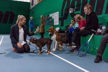 Meet and Greet am 10.12.16 299 - Meet and Greet mit Carina Witthoeft